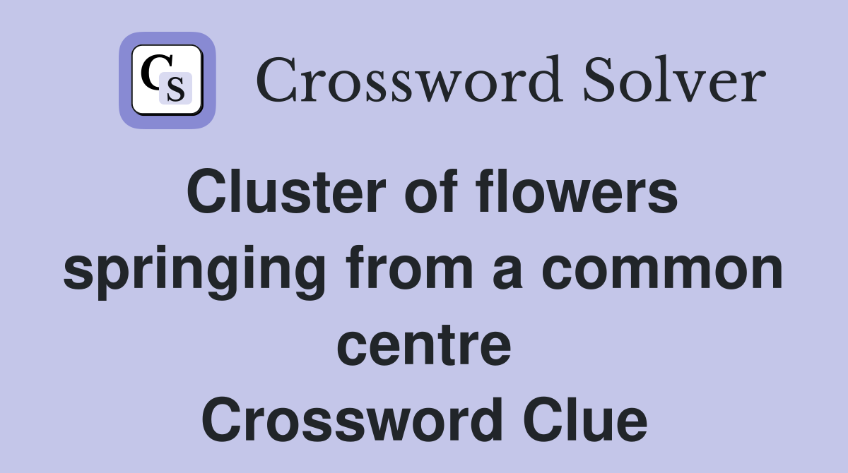 Cluster of flowers springing from a common centre Crossword Clue