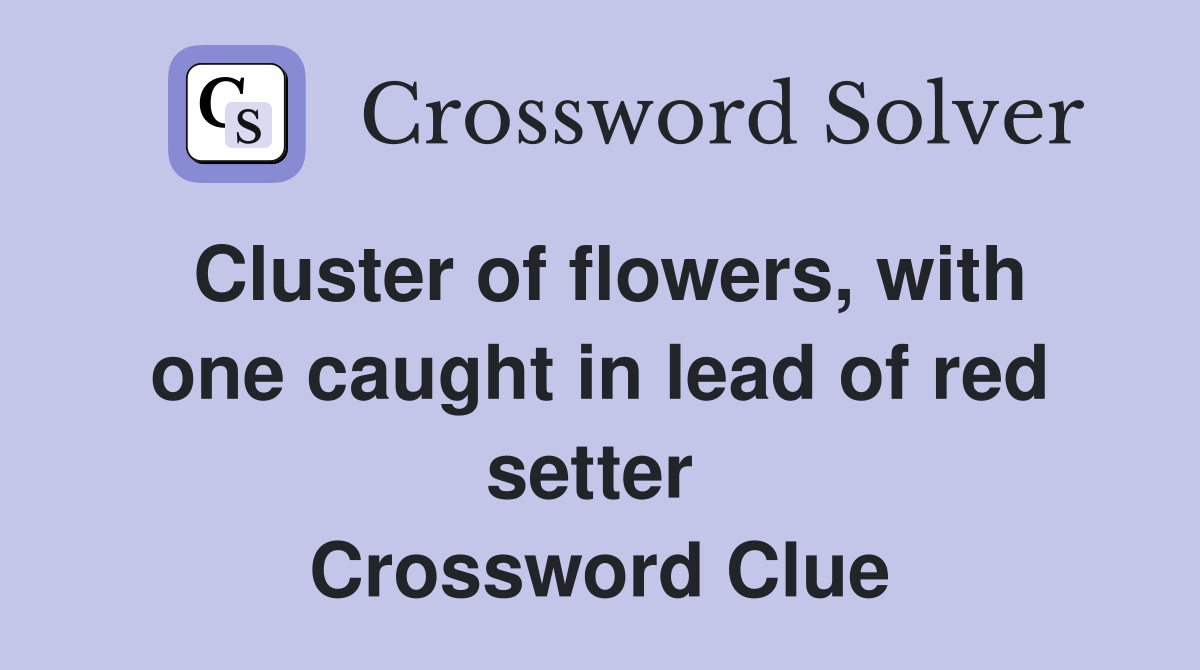 Cluster of flowers, with one caught in lead of red setter  Crossword Clue