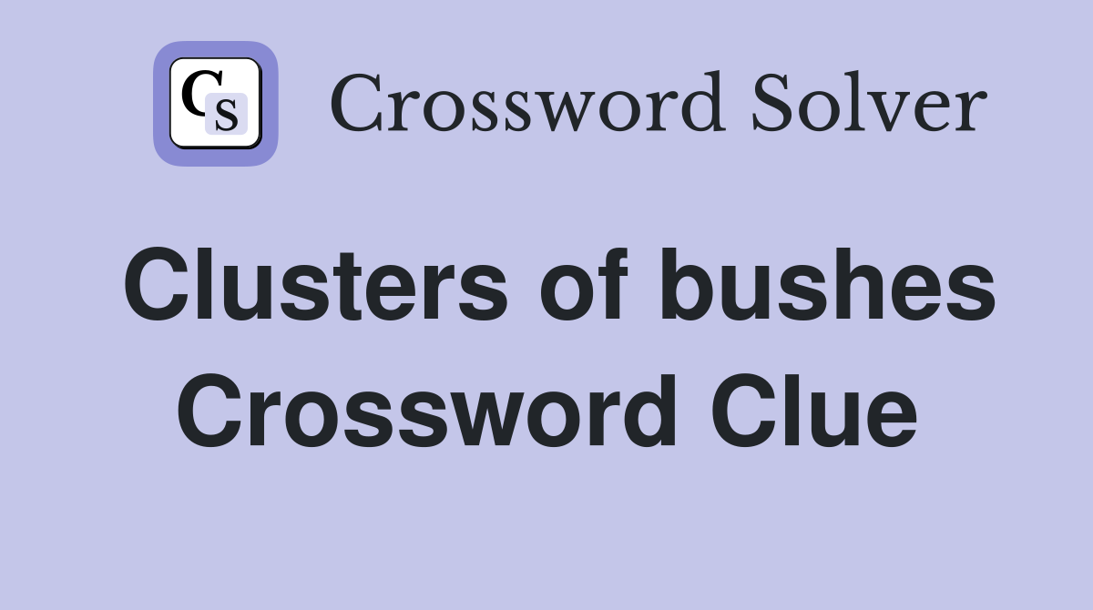 Clusters of bushes Crossword Clue