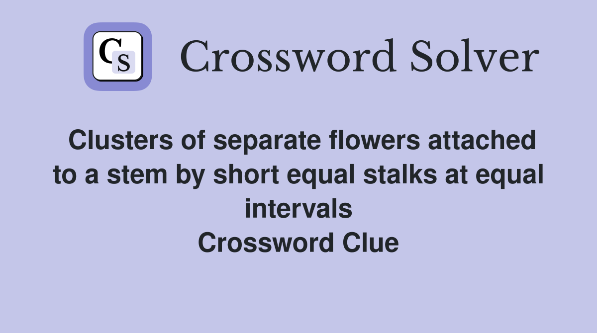 Clusters of separate flowers attached to a stem by short equal stalks at equal intervals Crossword Clue