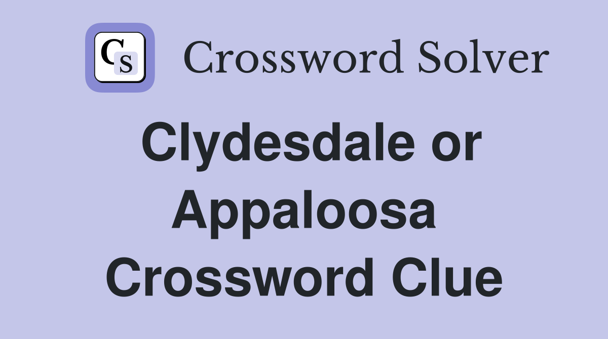 Clydesdale or Appaloosa Crossword Clue