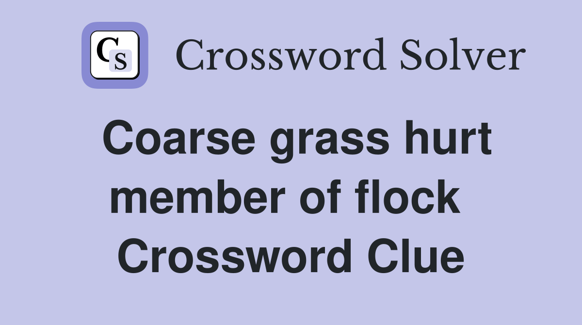 Coarse grass hurt member of flock  Crossword Clue
