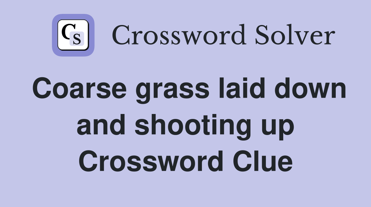Coarse grass laid down and shooting up Crossword Clue