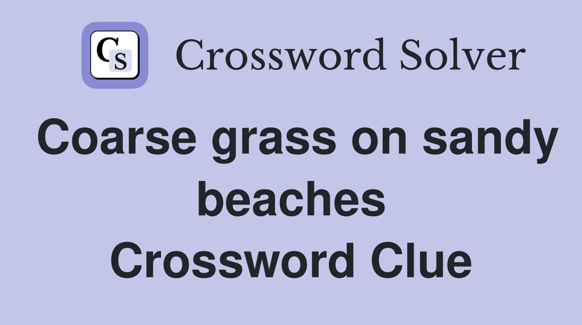 Coarse grass on sandy beaches Crossword Clue