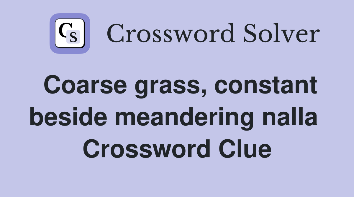 Coarse grass, constant beside meandering nalla  Crossword Clue