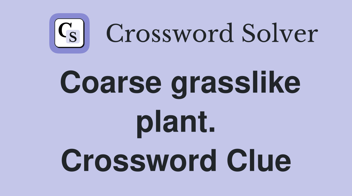 Coarse grasslike plant. Crossword Clue
