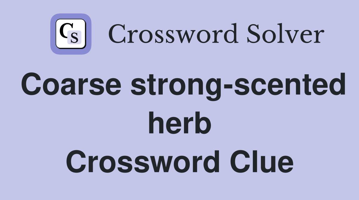 Coarse strong-scented herb Crossword Clue