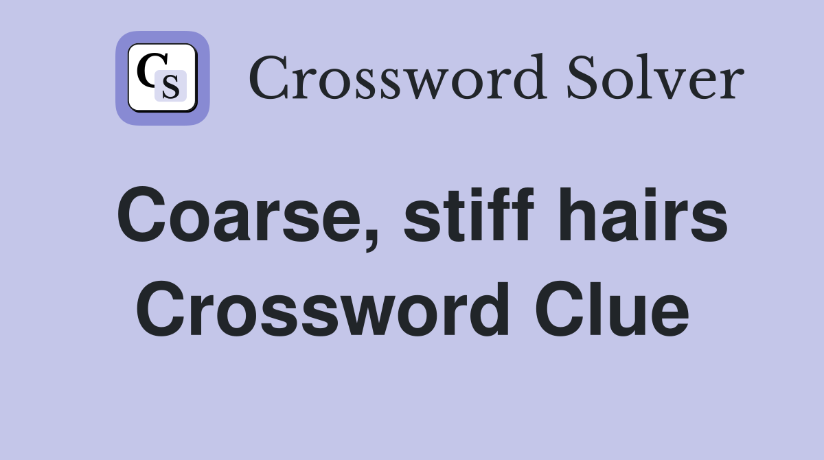 Coarse, stiff hairs Crossword Clue