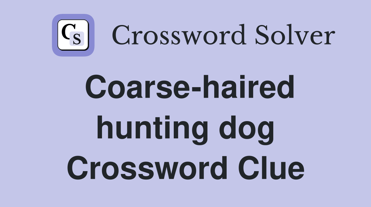 Coarse-haired hunting dog Crossword Clue