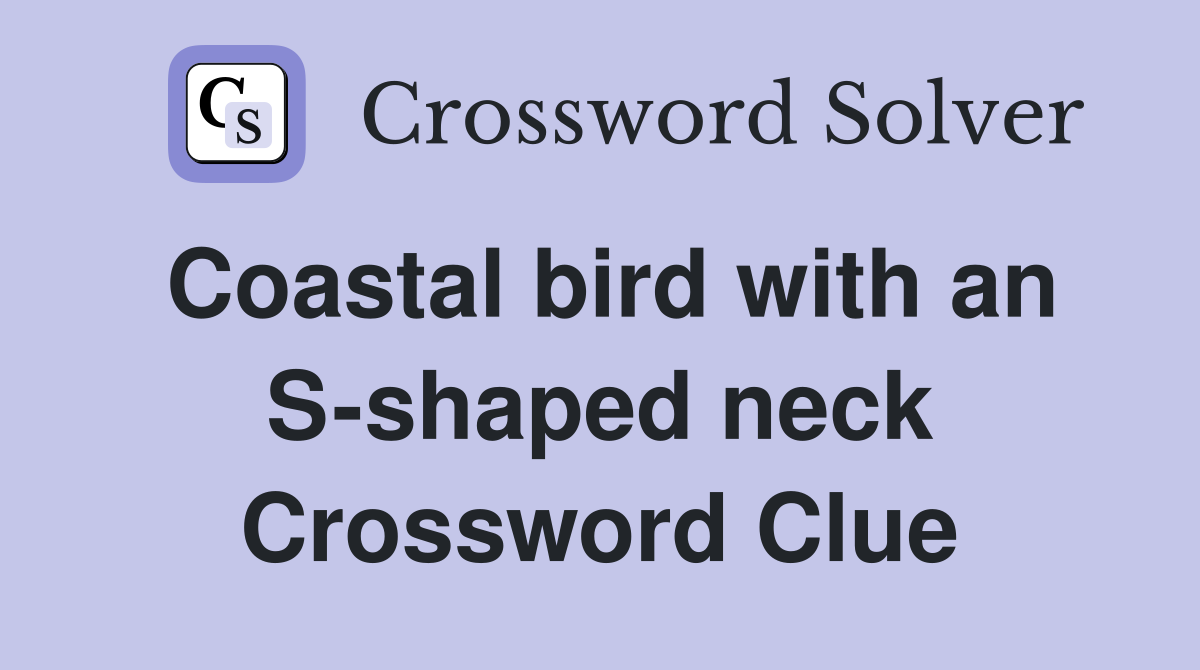 Coastal bird with an S-shaped neck Crossword Clue