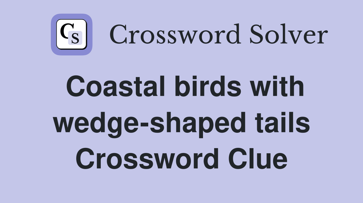 Coastal birds with wedge-shaped tails Crossword Clue