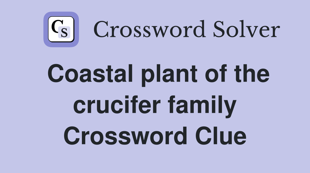 Coastal plant of the crucifer family Crossword Clue