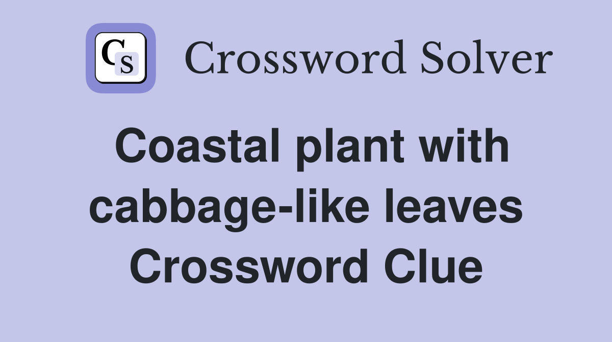Coastal plant with cabbage-like leaves Crossword Clue