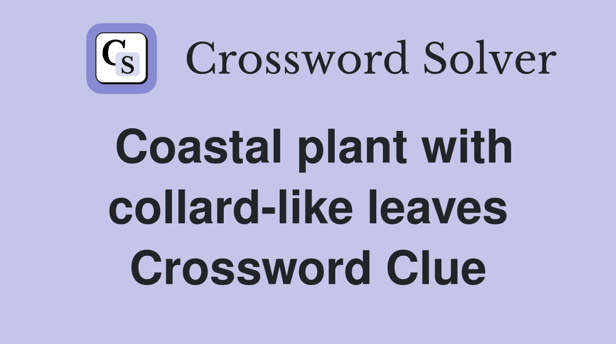 Coastal plant with collard-like leaves Crossword Clue