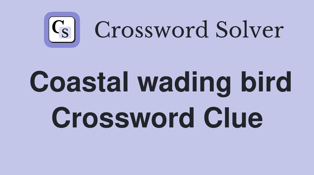 Coastal wading bird Crossword Clue