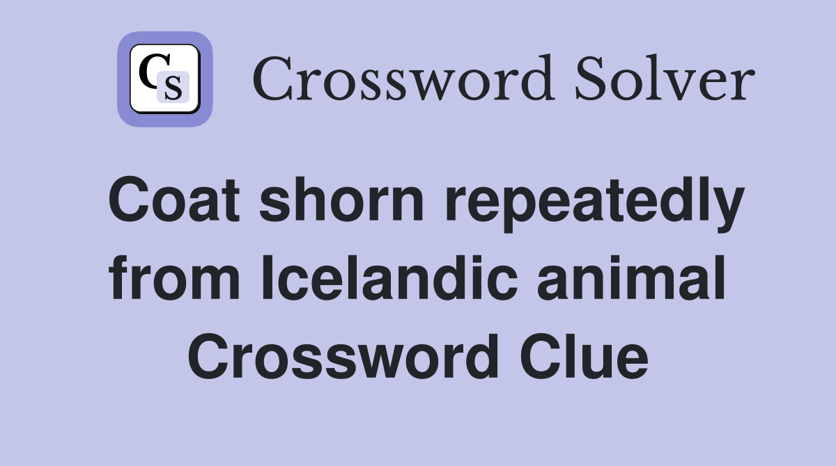 Coat shorn repeatedly from Icelandic animal Crossword Clue