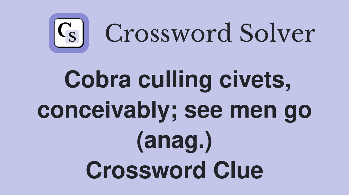 Cobra culling civets, conceivably; see men go (anag.) Crossword Clue