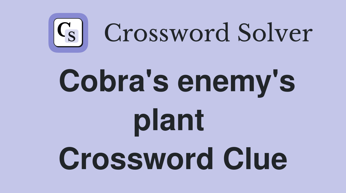 Cobra's enemy's plant  Crossword Clue