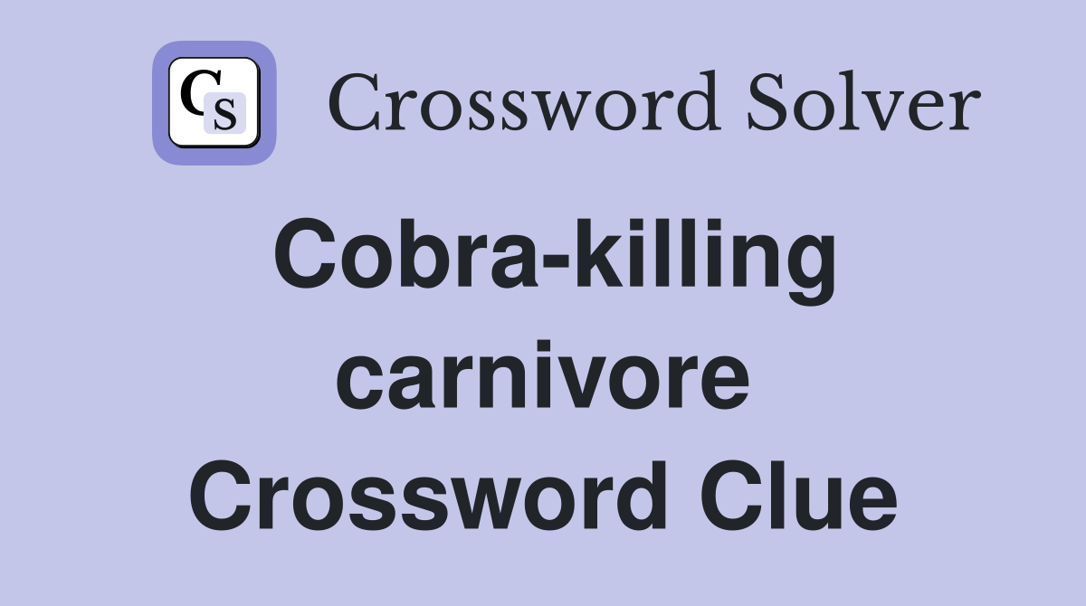 Cobra-killing carnivore Crossword Clue