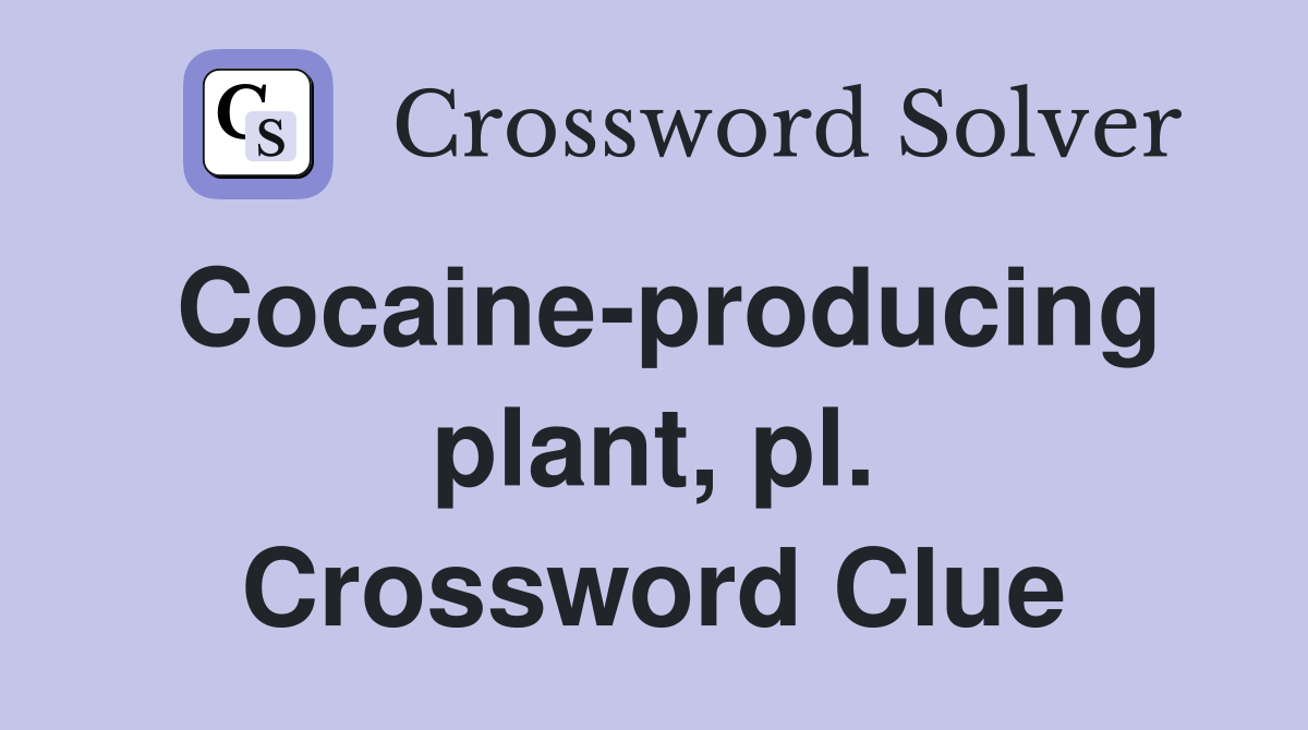 Cocaine-producing plant, pl. Crossword Clue