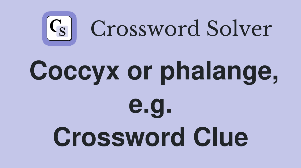 Coccyx or phalange, e.g. Crossword Clue