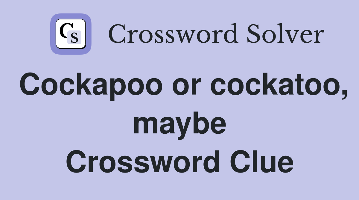 Cockapoo or cockatoo, maybe Crossword Clue