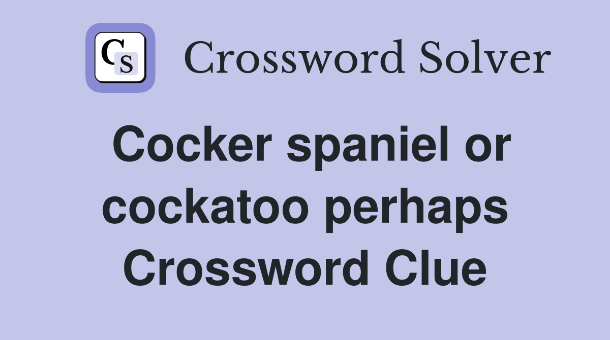 Cocker spaniel or cockatoo perhaps Crossword Clue