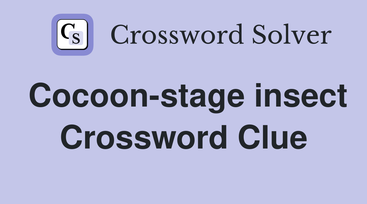 Cocoon-stage insect Crossword Clue