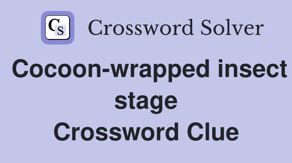 Cocoon-wrapped insect stage Crossword Clue