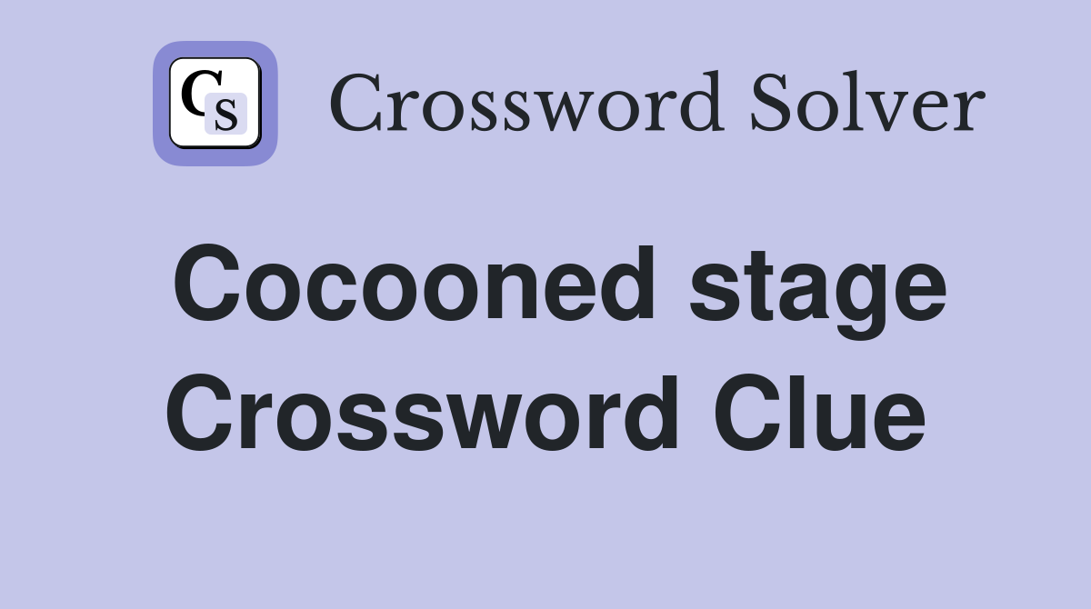Cocooned stage Crossword Clue