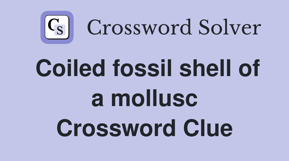 Coiled fossil shell of a mollusc Crossword Clue