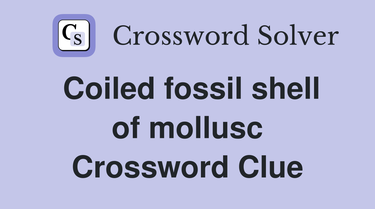 Coiled fossil shell of mollusc Crossword Clue