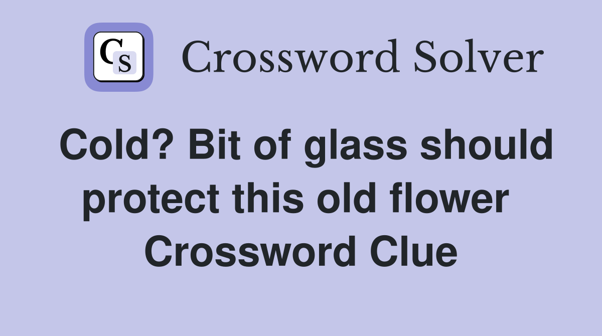 Cold? Bit of glass should protect this old flower  Crossword Clue