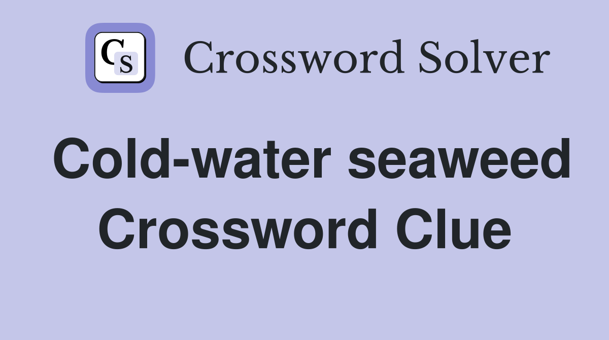 Cold-water seaweed Crossword Clue