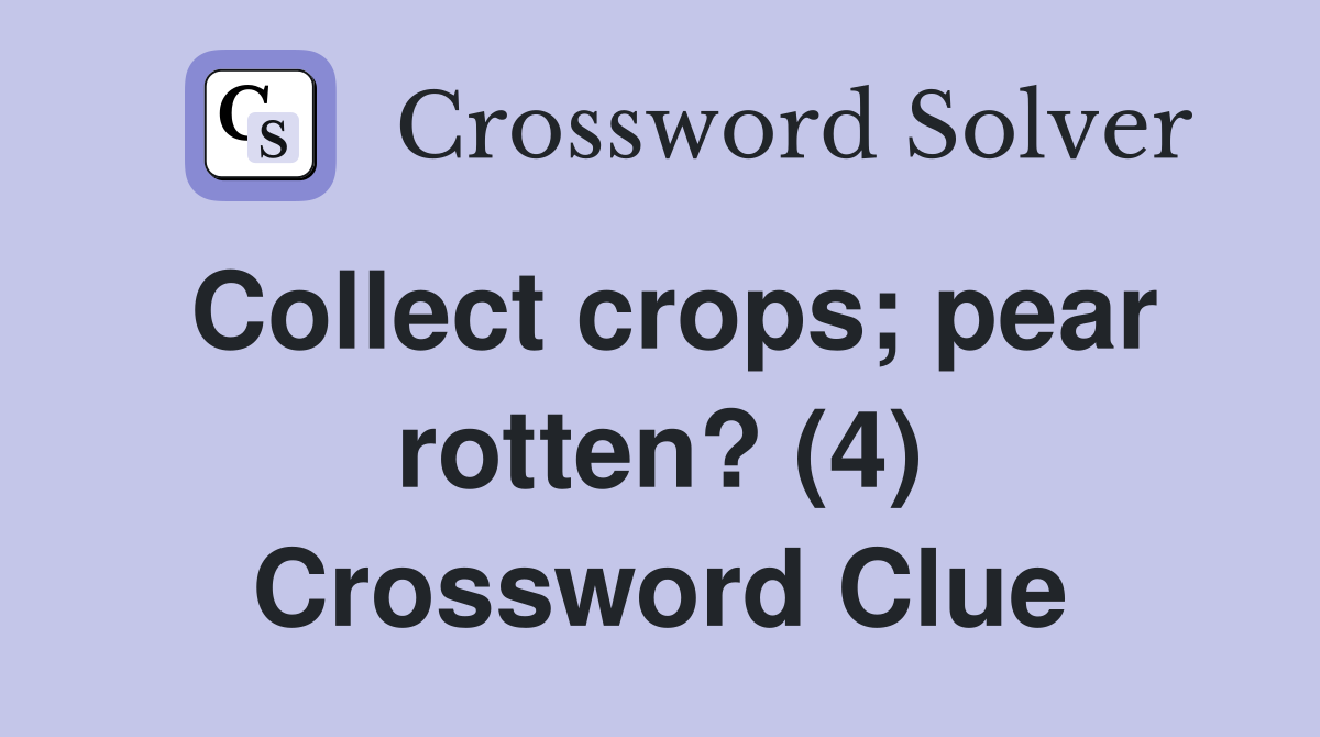 Collect crops; pear rotten? (4) Crossword Clue