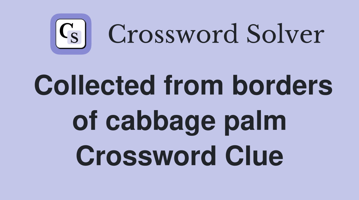 Collected from borders of cabbage palm Crossword Clue