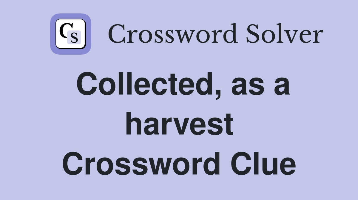 Collected, as a harvest Crossword Clue