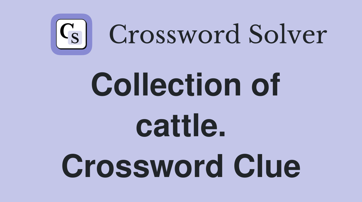 Collection of cattle. Crossword Clue