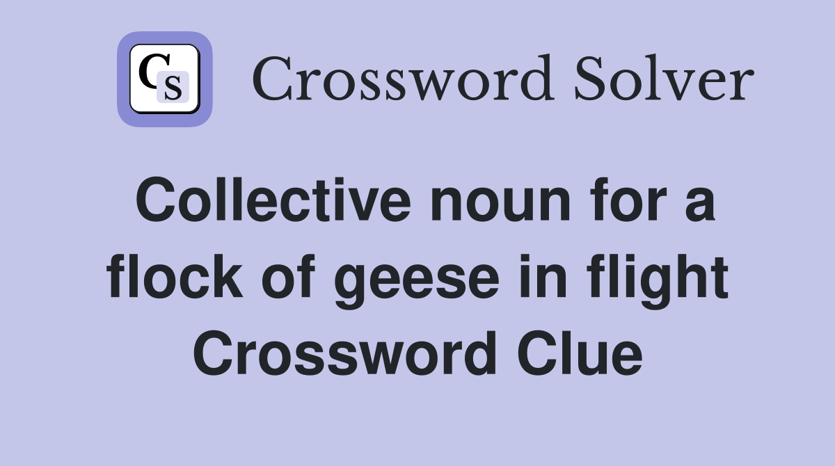 Collective noun for a flock of geese in flight Crossword Clue