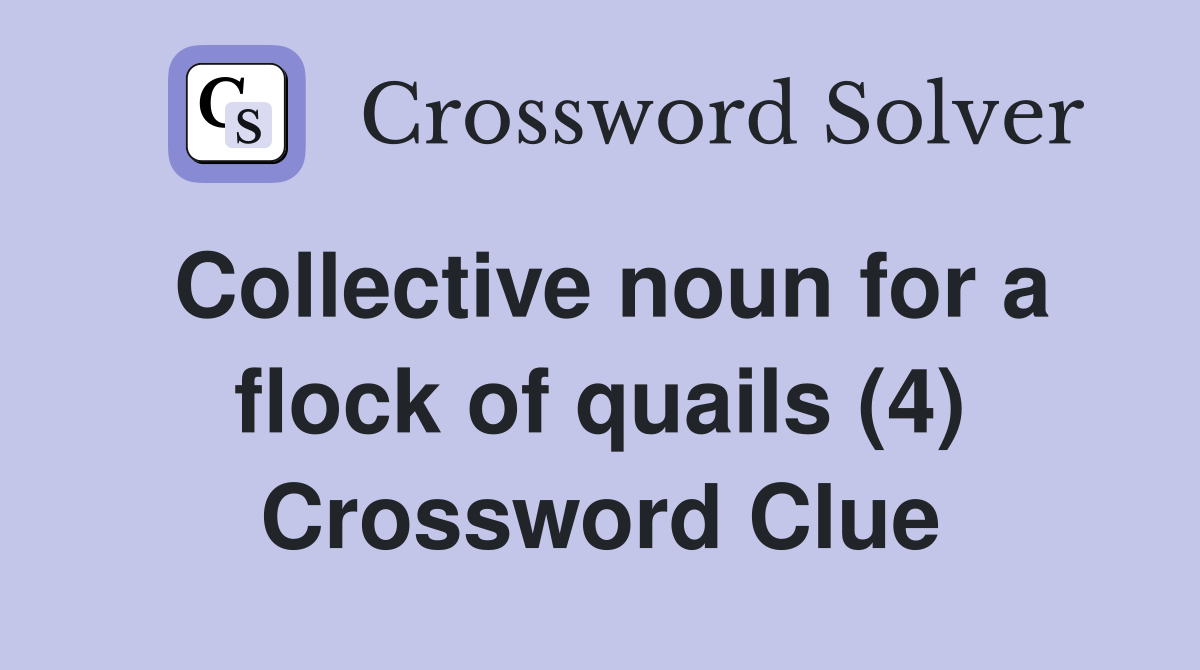 Collective noun for a flock of quails (4) Crossword Clue