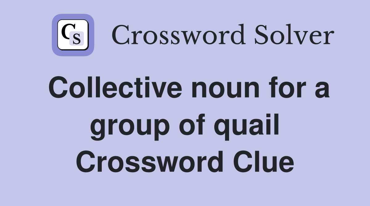 Collective noun for a group of quail Crossword Clue