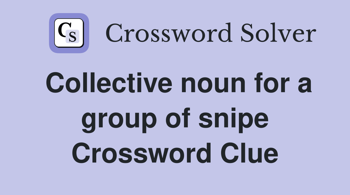 Collective noun for a group of snipe Crossword Clue