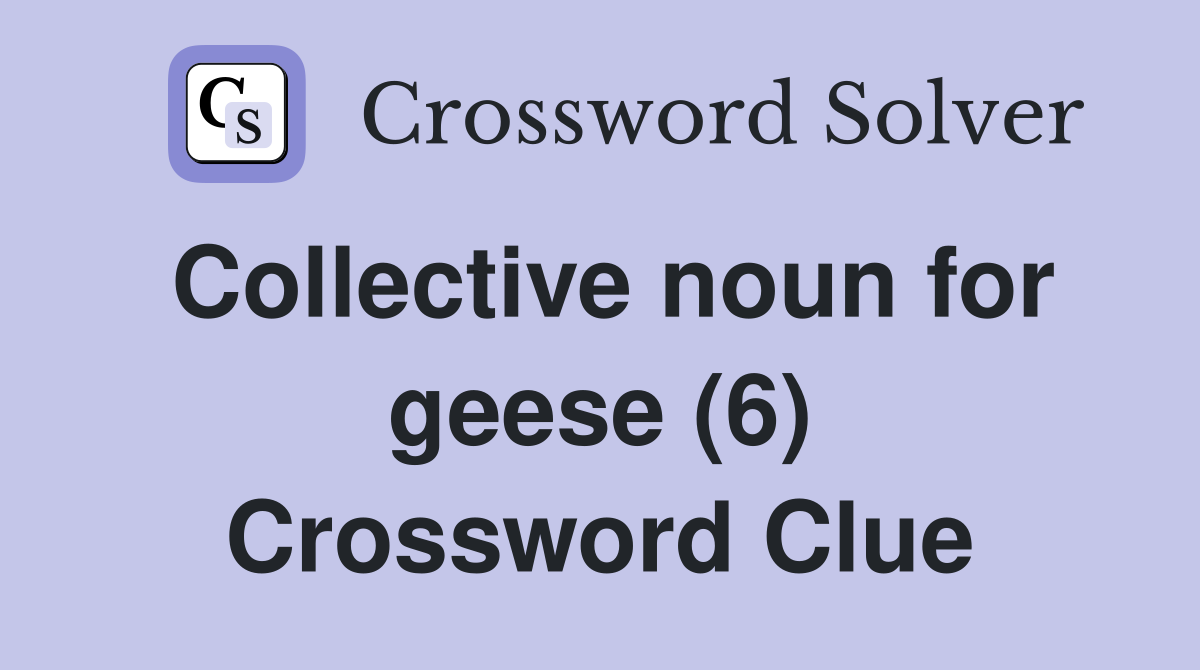 Collective noun for geese (6) Crossword Clue