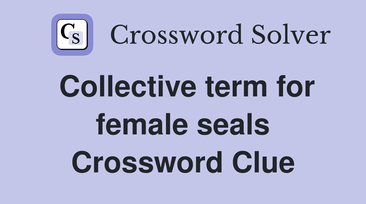 Collective term for female seals Crossword Clue