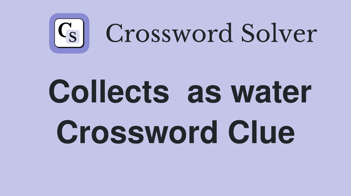 Collects  as water Crossword Clue