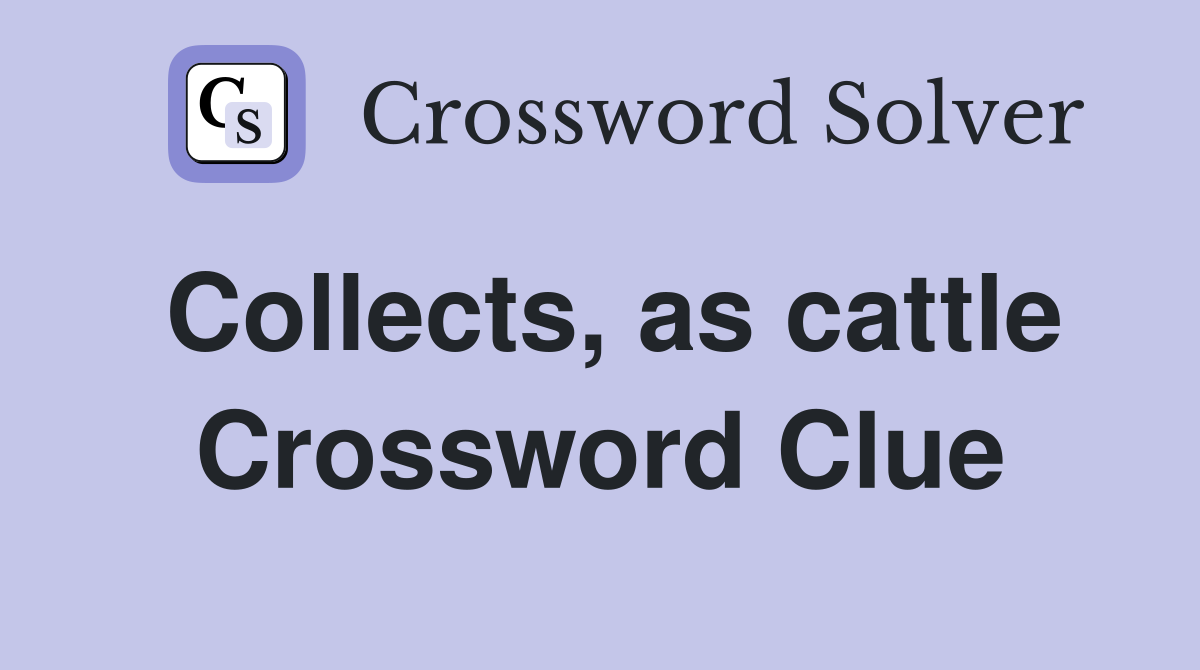 Collects, as cattle Crossword Clue