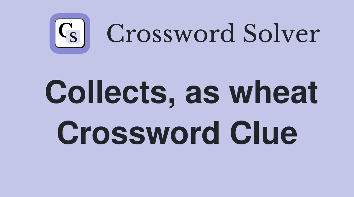 Collects, as wheat Crossword Clue