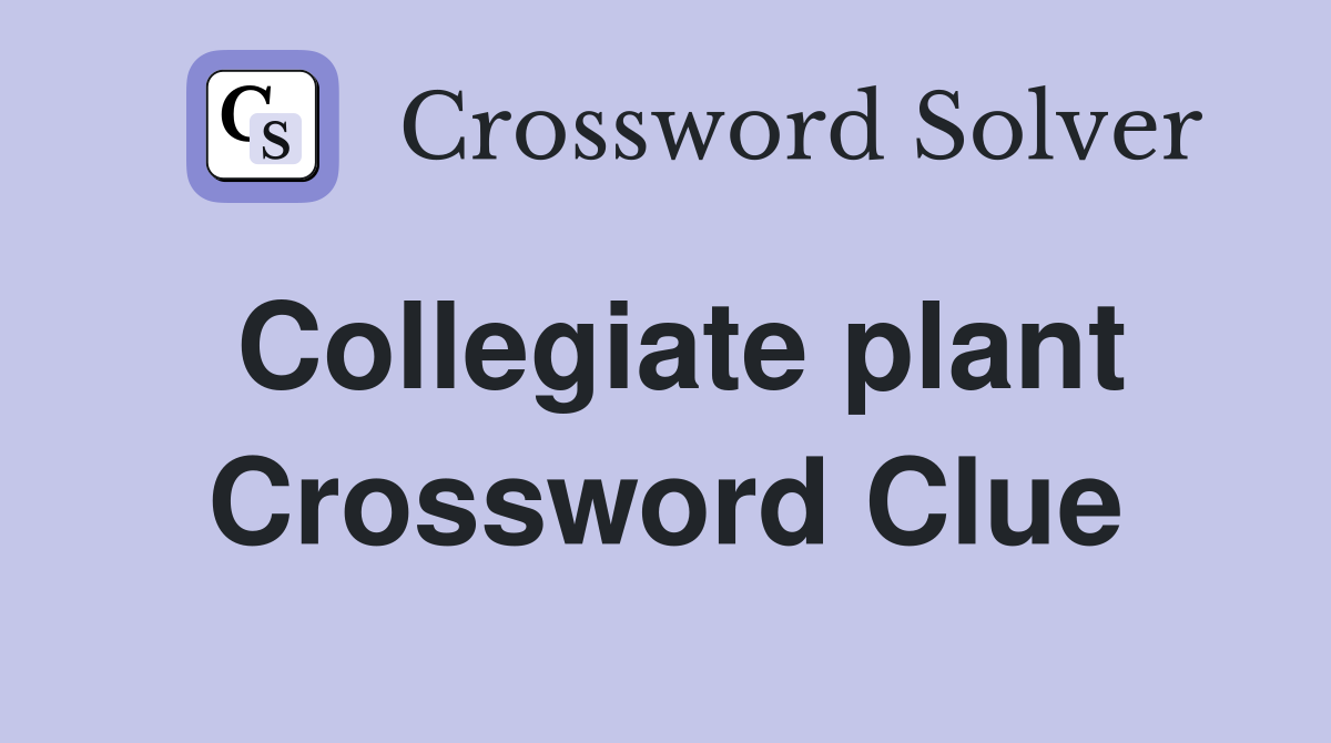 Collegiate plant Crossword Clue