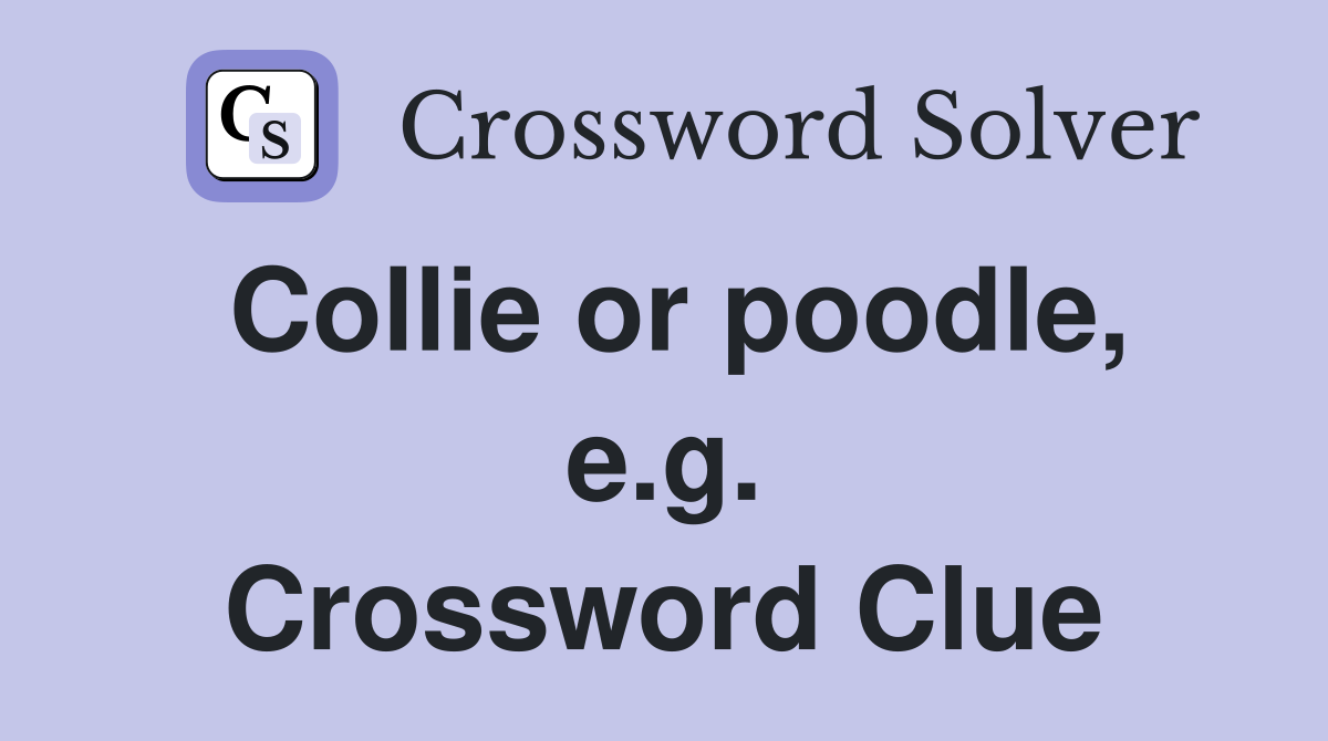Collie or poodle, e.g. Crossword Clue