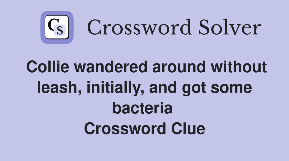 Collie wandered around without leash, initially, and got some bacteria  Crossword Clue